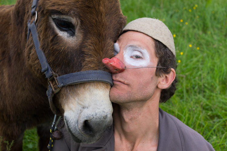 Donkey's Circus | © Gilles Vanderstraeten